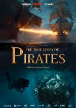 Watch The True Story of Pirates Zmovies