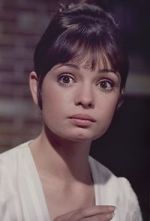 Watch Gidget Grows Up Zmovies