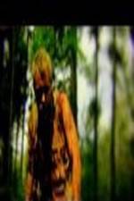 Watch The Legend of David Zmovies