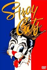 Watch Stray Cats Rock Paris Zmovies