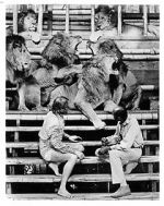 Watch Roar: The Most Dangerous Movie Ever Made Zmovies