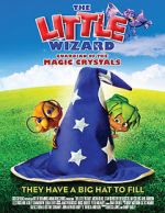 Watch The Little Wizard: Guardian of the Magic Crystals Zmovies