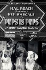 Watch Pups Is Pups Zmovies