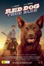Watch Red Dog True Blue Zmovies