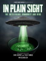 Watch In Plain Sight: The Intelligence Community and UFOs Zmovies