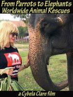 Watch From Parrots to Elephants: Worldwide Animal Rescues Zmovies