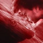 Watch We All Poop: All the Blood Zmovies