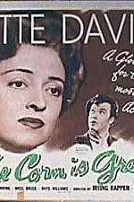 Watch The Corn Is Green Zmovies