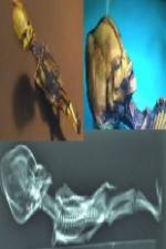 Watch Desert of the Skeletons Zmovies