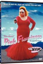 Watch Pink Flamingos Zmovies