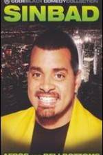 Watch Sinbad: Afros and Bellbottoms Zmovies