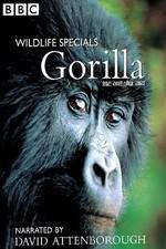Watch Gorilla Revisited with David Attenborough Zmovies
