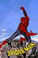 Watch Spider-Man Zmovies