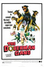 Watch The Doberman Gang Zmovies