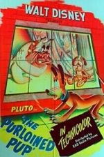 Watch The Purloined Pup Zmovies
