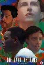 Watch The Land of Owls Zmovies