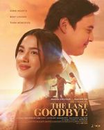 Watch The Last Goodbye Zmovies