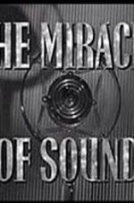 Watch The Miracle of Sound Zmovies