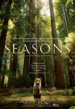 Watch Seasons Zmovies