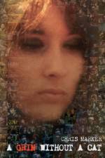 Watch Grin Without a Cat Zmovies