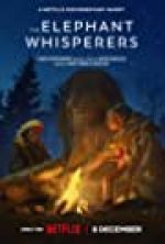Watch The Elephant Whisperers Zmovies