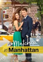 Watch A Match in Manhattan Zmovies
