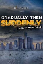 Watch Gradually, Then Suddenly: The Bankruptcy of Detroit Zmovies