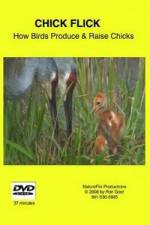 Watch Chick Flick How Birds Produce and Raise Chicks Zmovies