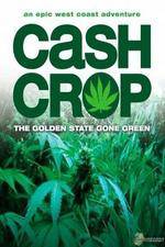 Watch Cash Crop Zmovies