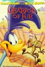 Watch Ready Woolen and Able Zmovies