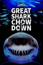 Watch Great Shark Chow Down Zmovies