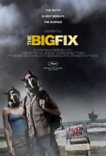 Watch The Big Fix Zmovies