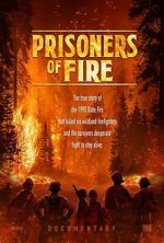 Watch Prisoners of Fire Zmovies