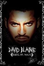 Watch David Blaine: Real or Magic Zmovies