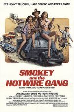 Watch Smokey and the Hotwire Gang Zmovies