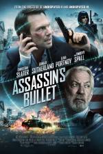 Watch Assassin's Bullet Zmovies
