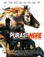 Watch Purasangre Zmovies