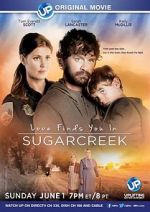 Watch Love Finds You in Sugarcreek Zmovies