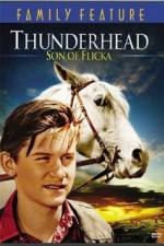 Watch Thunderhead - Son of Flicka Zmovies