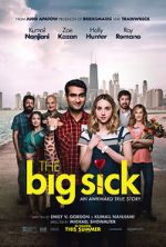 Watch The Big Sick Zmovies