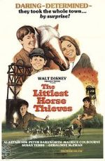Watch The Littlest Horse Thieves Zmovies