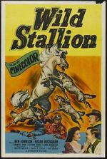 Watch Wild Stallion Zmovies