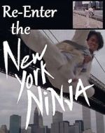 Watch Re-Enter the New York Ninja Zmovies