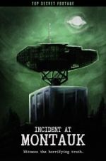 Watch Incident at Montauk Zmovies