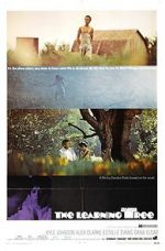 Watch The Learning Tree Zmovies