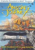 Watch Amazing Journeys (Short 1999) Zmovies