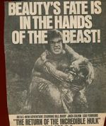 Watch The Return of the Incredible Hulk Zmovies