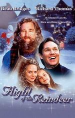 Watch The Christmas Secret Zmovies