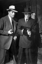 Watch No Orchids for Miss Blandish Zmovies