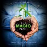 Watch The Magic Plant Zmovies